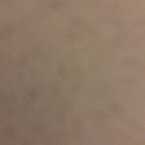 Meet your Posher, Travis